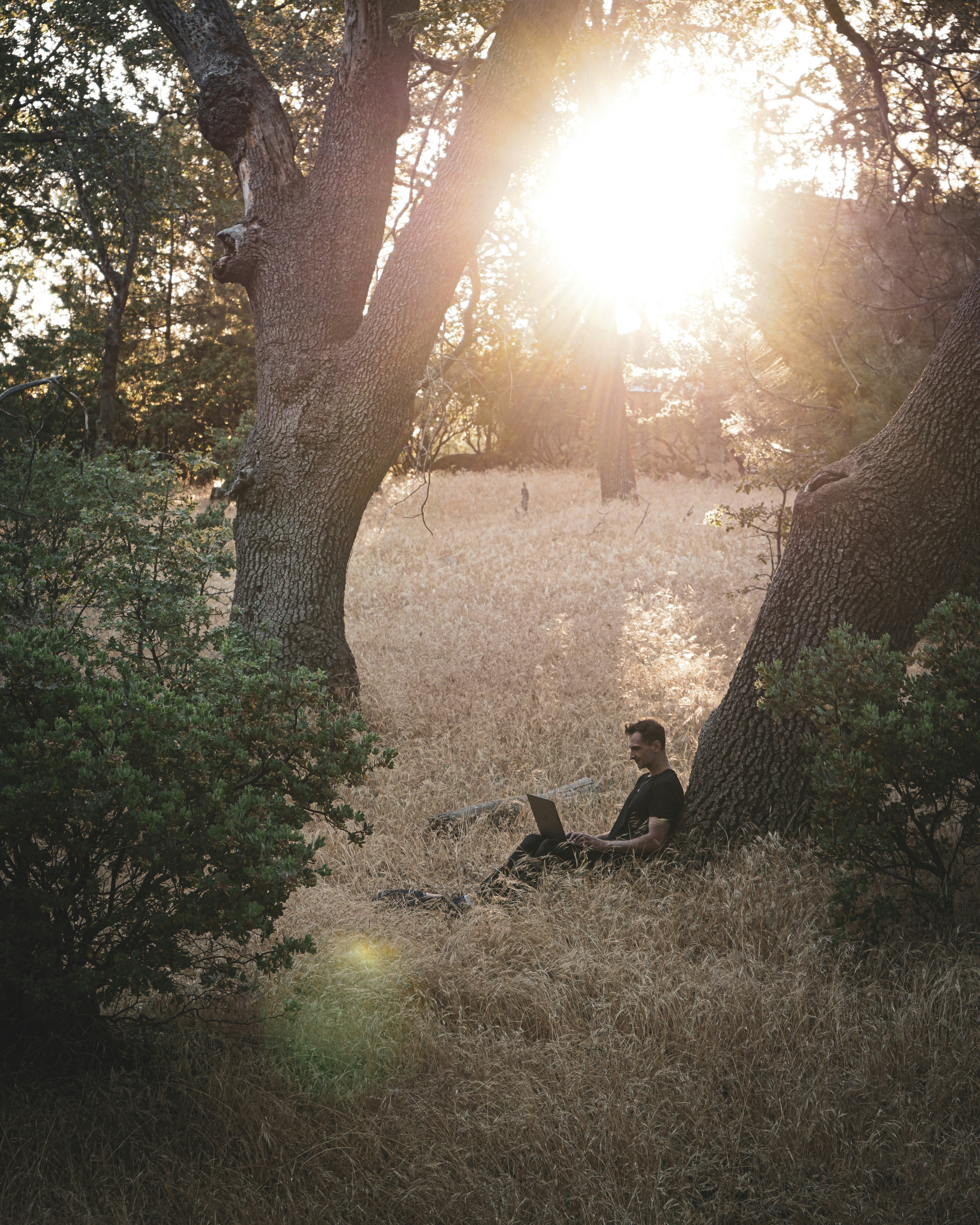 Finding clarity in stillness